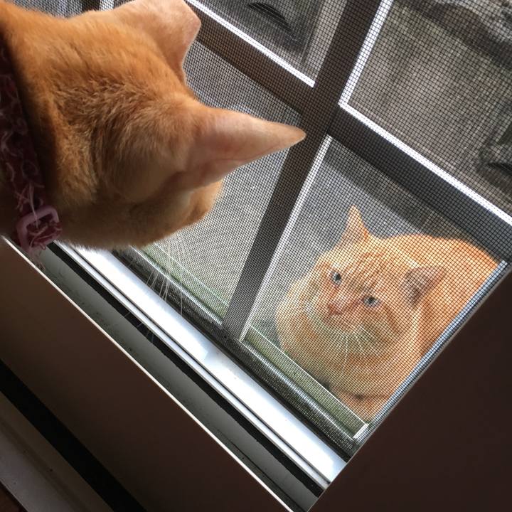 0fcc6a21 b46a 4660 87ed d07b1a2aa036