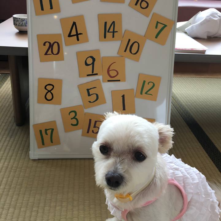 0fcd5b48 183c 4e25 be83 da79f6a95d41