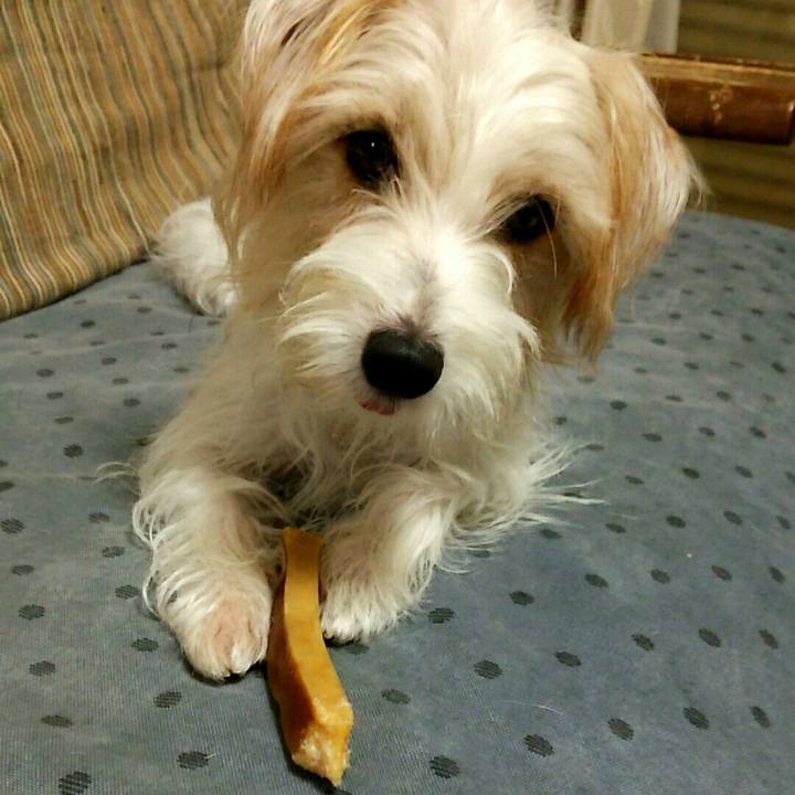 0fcdbd6c 6ab1 4de4 ab52 12e66984d756