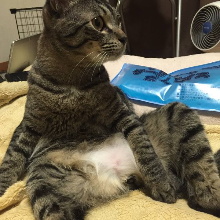 0fcdc52f a64c 40aa bfe8 6baf44c8e562