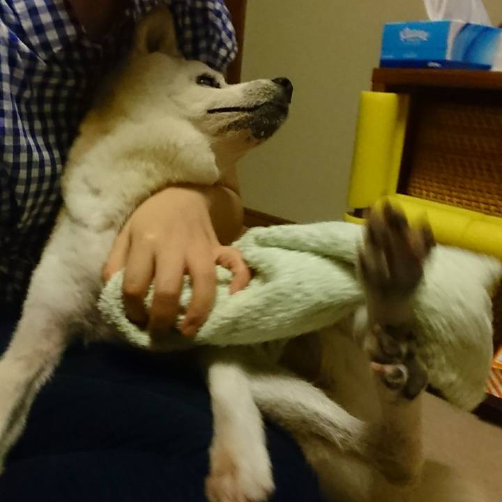 0fce5fcf 4445 4194 b299 8e6aa3f369de