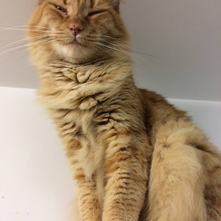 0fcfa429 6e7f 44e1 a05a 32e3e1d2c1e6