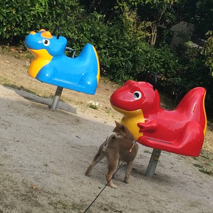 0fcfae42 dad3 4730 84fb 7e6462382050