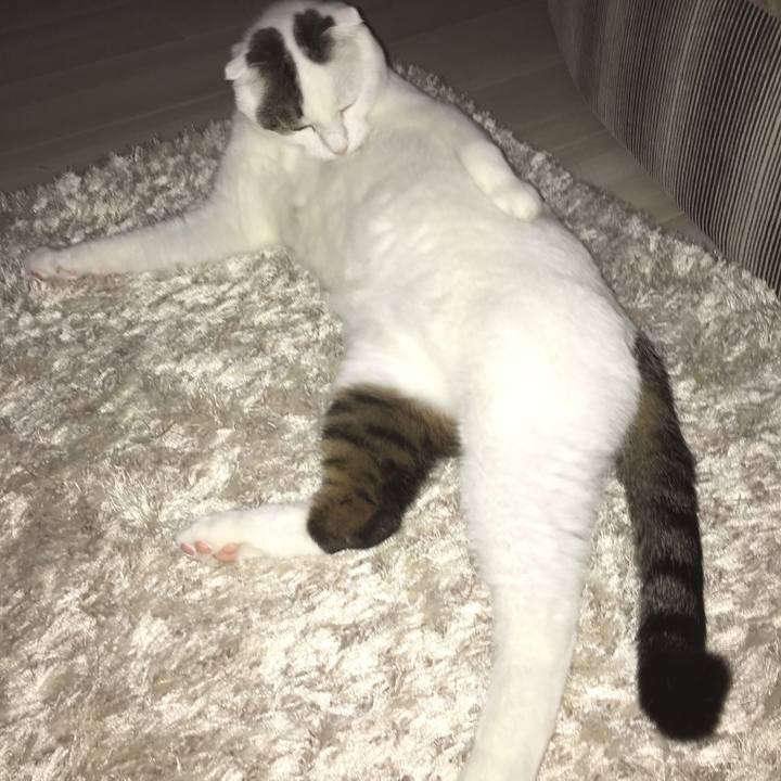 0fcfd1fc ccc1 431f 8355 78780687e354