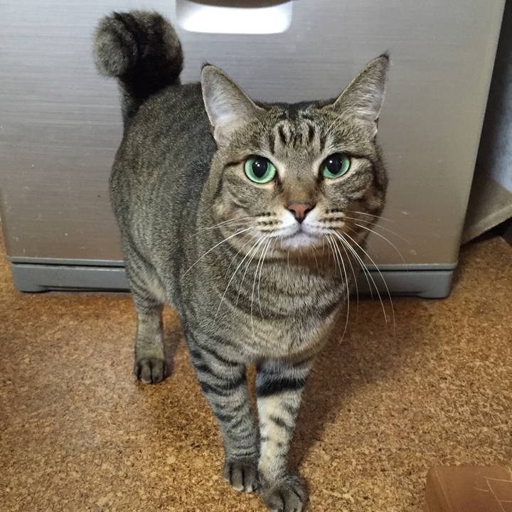 0fcfecde b8d6 4218 be41 76d8d4b4d627