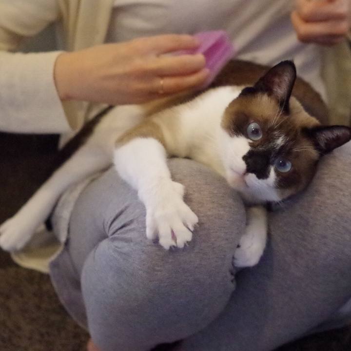 0fd01504 a39c 44ee 8c35 74e68529960c