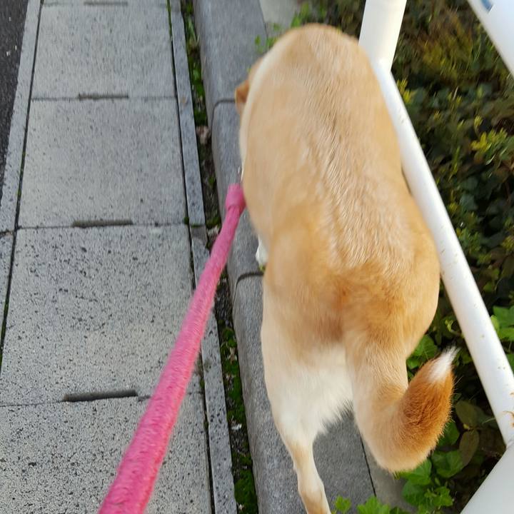 0fd08397 2de0 4a99 b005 e45eef8c9d9c