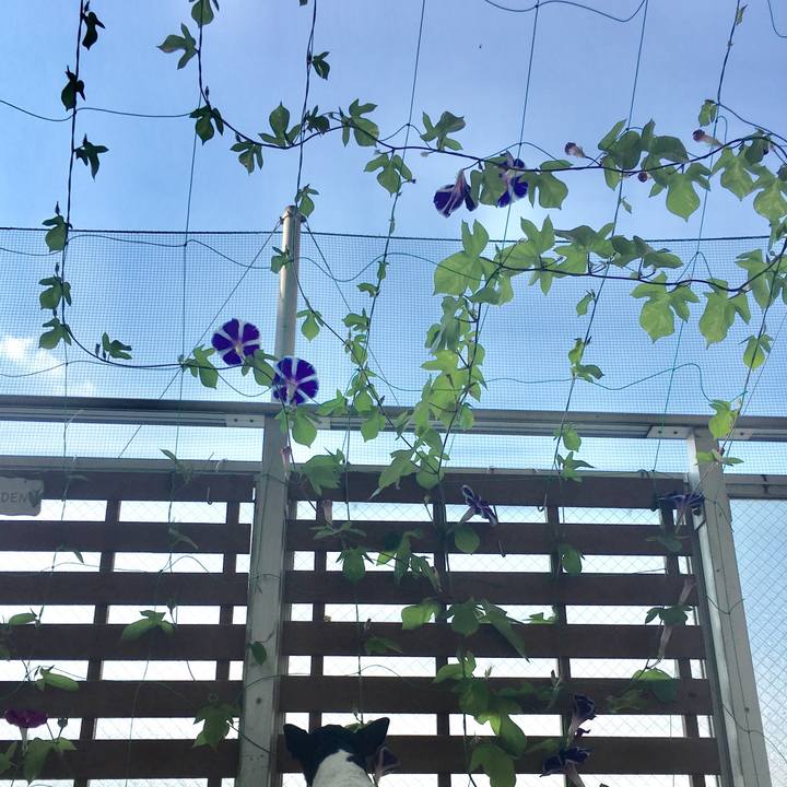 0fd10a07 e05b 4838 aa65 9bbdcf2e3c79