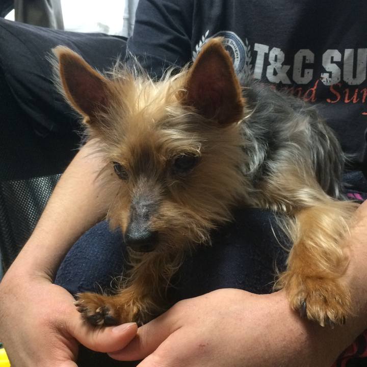 0fd191f6 47aa 46b4 a3de f5affb43def2