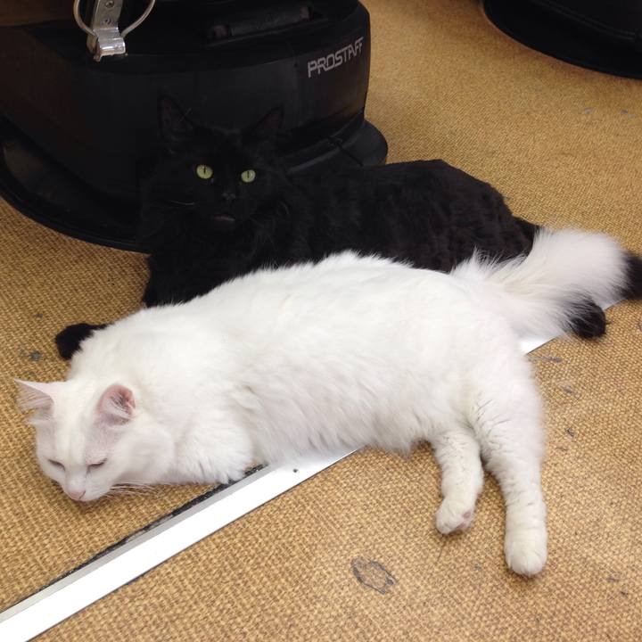 0fd1d7d1 187d 43fa 8899 28bb45a2ff45