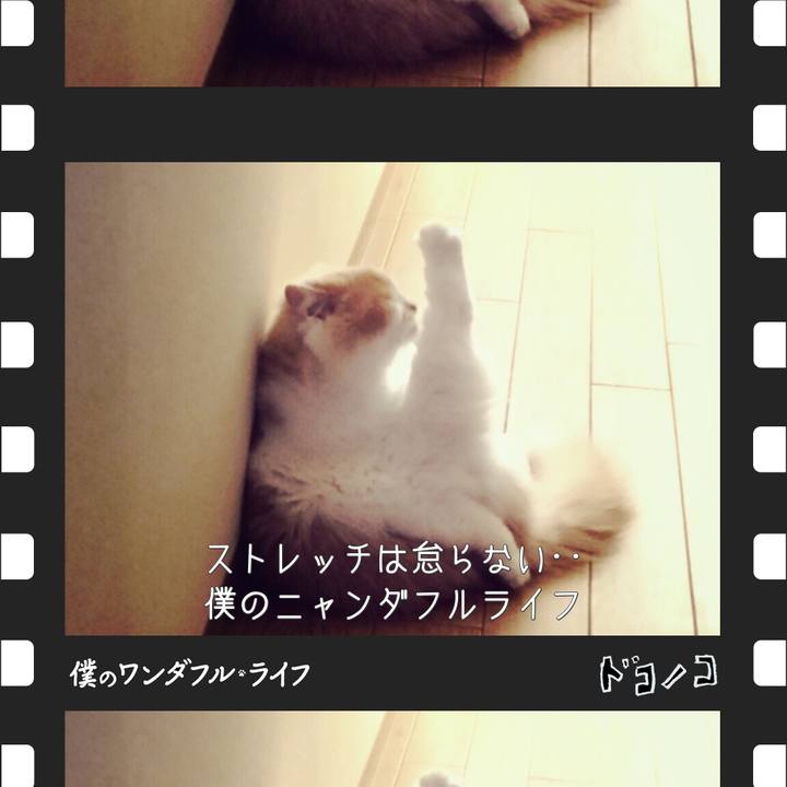 0fd1ed5c ce84 4857 acb7 ecefebf0c82f