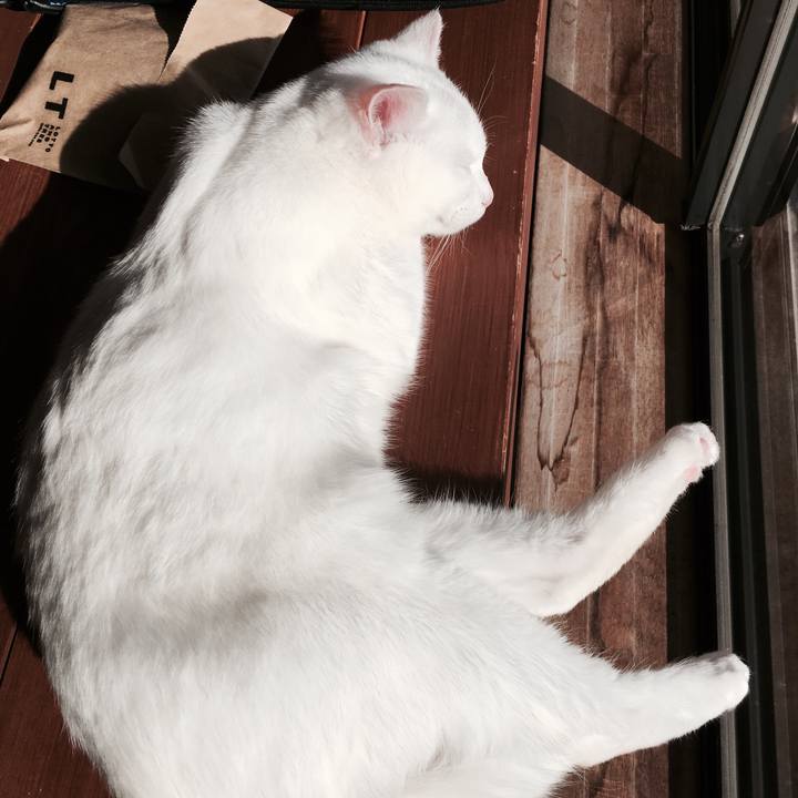 0fd2c9ec 3063 4e16 9701 97385a82d3bf