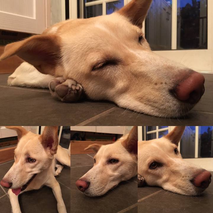 0fd3a183 f217 458e b2a6 57e64722b636