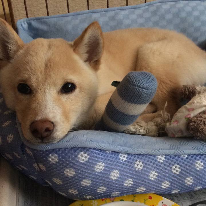 0fd3f328 dfb4 43d9 9e8c 8d1d3216b282