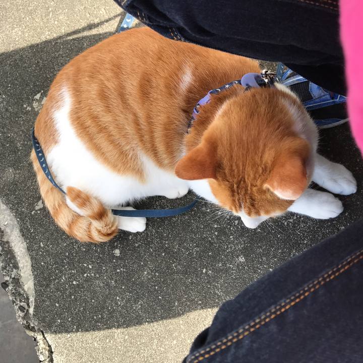 0fd3f68d 0416 468a 8031 6cfba635722a