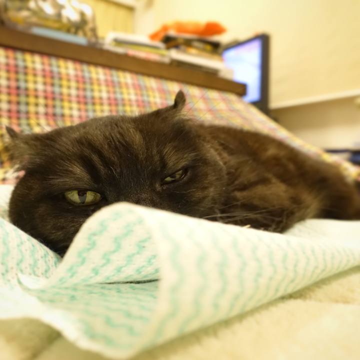 0fd460be faf6 4412 9f39 8e6570316447