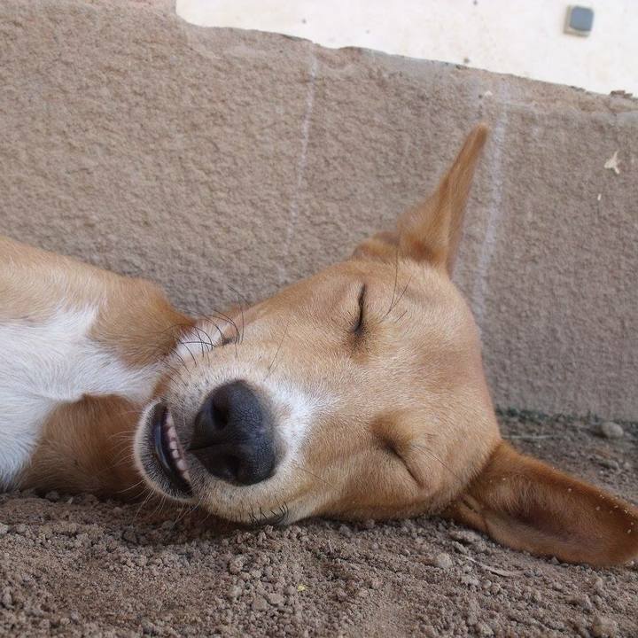 0fd46f3b f195 44a1 b797 4e1a6d3069a0