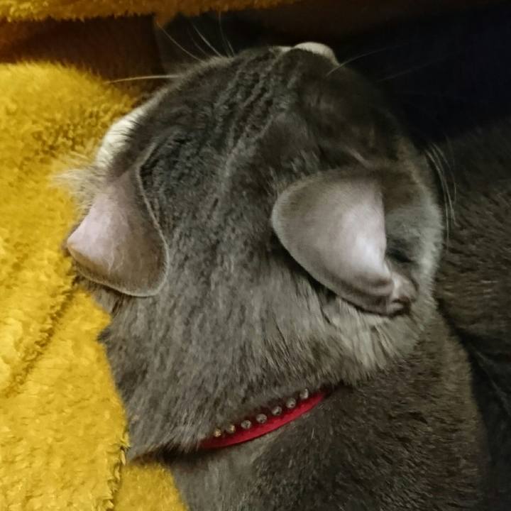 0fd4b3d9 527c 4e92 b80e 1c83769c3313