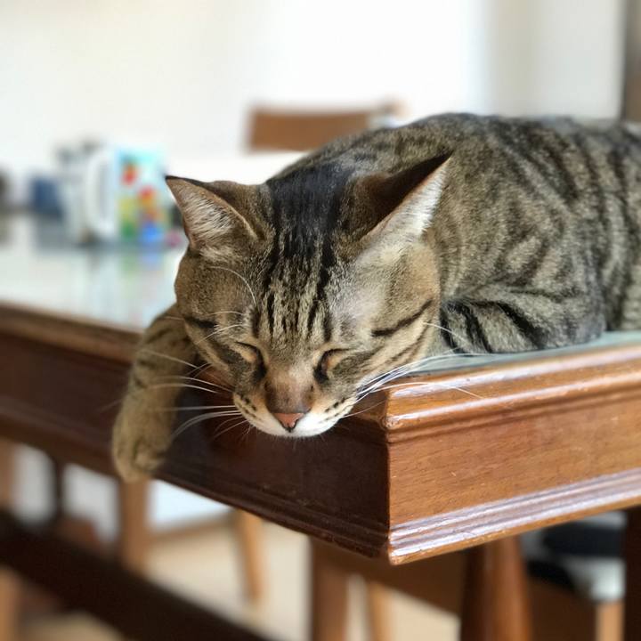 0fd53b67 aca4 4b13 9255 a81af9a9c4c1