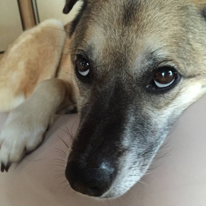 0fd55b26 d51e 4ef8 a408 ccc221a9f207