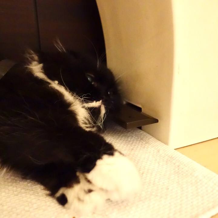 0fd55fc3 d4cf 41d1 88a8 31c3402b3b4c