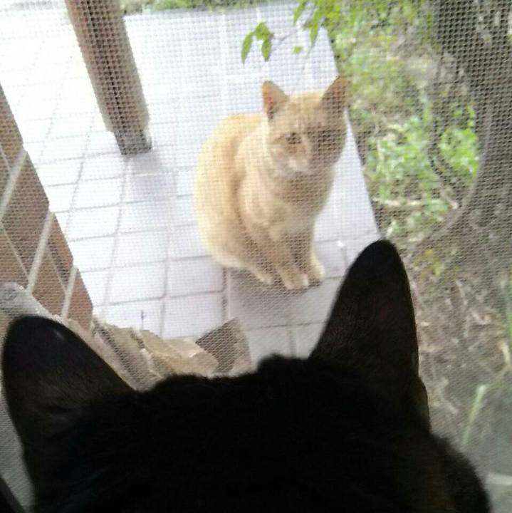 0fd594d9 f95e 4839 afd4 59d2ce143879