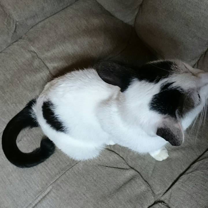 0fd5a778 71f5 452d 9db3 614eca3c4e7d