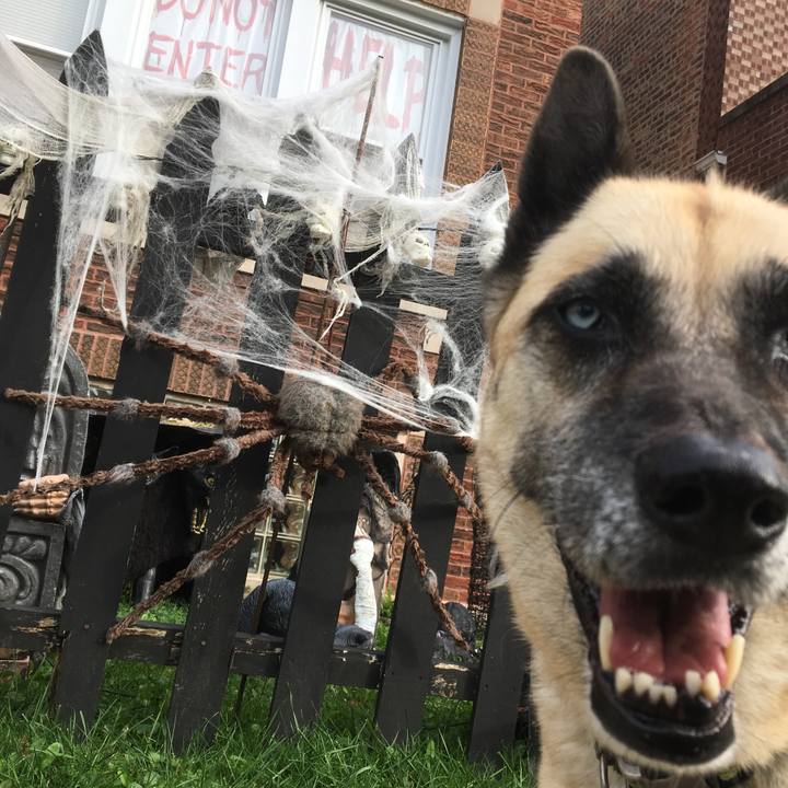 0fd5c08b 236c 4ab7 8f6a 4c23d198b1a6