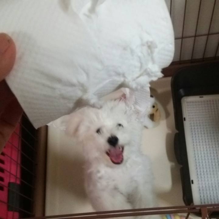 0fd75251 8d85 4759 a3b7 997e4446b2d1