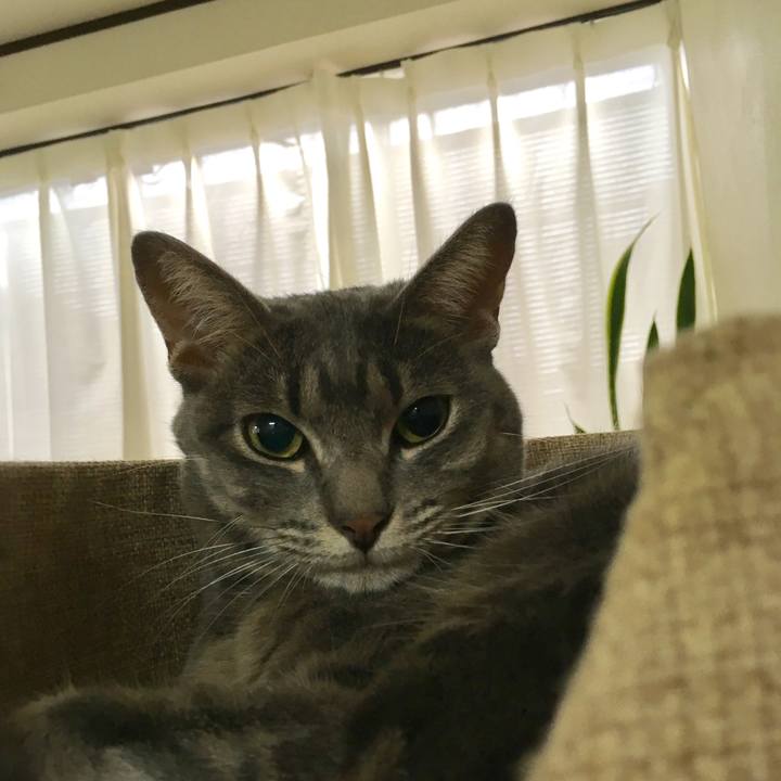 0fd7dd44 d091 482a 87b2 69da5c11320c