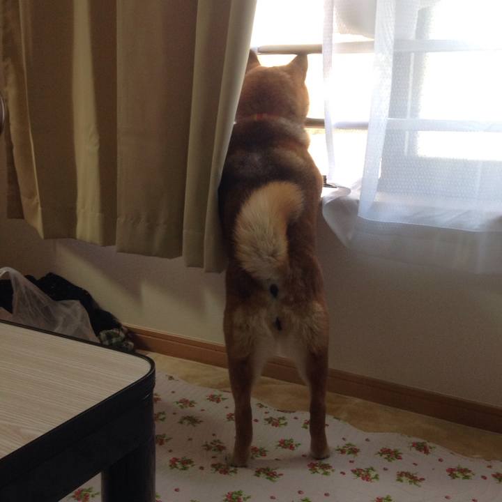 0fd7f403 54ea 42ca b2a1 c825c0d53cbf