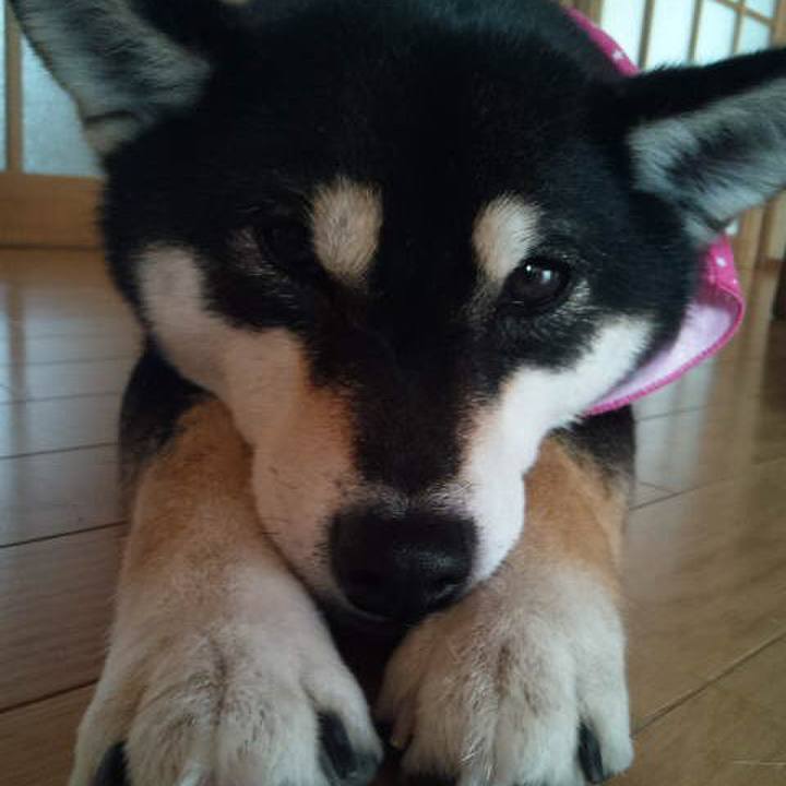 0fd805b0 01b5 4396 9aec a0e875880d07