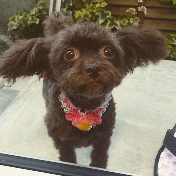 0fd80891 d141 47dd 9d3d b2995558de59