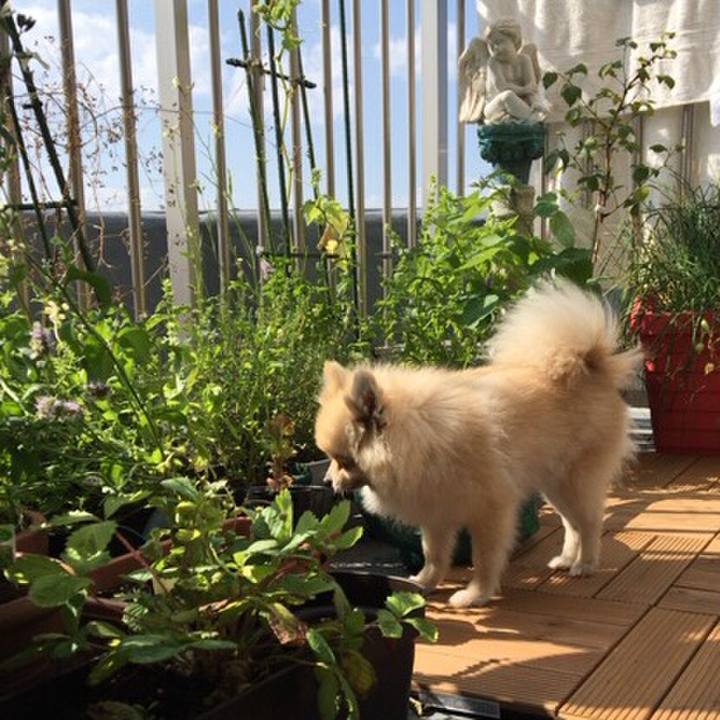 0fd8119b 6940 42e5 af6b 81da3b9f172e