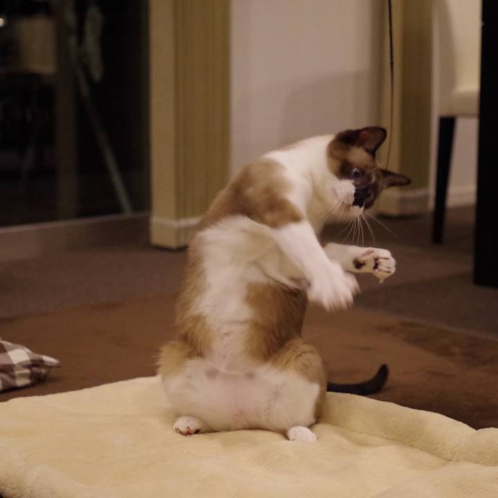 0fd84de1 6763 4f16 ba7c 1f598f40adbf