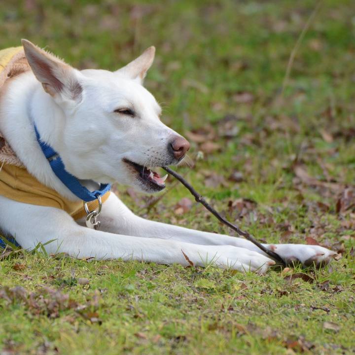 0fd9317f 6d25 43a8 8e4d f1f7d6f96f74