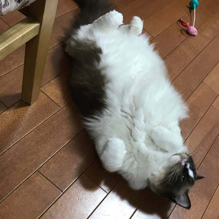 0fd96745 a56a 4eed 994d 9188c5bc0c9c