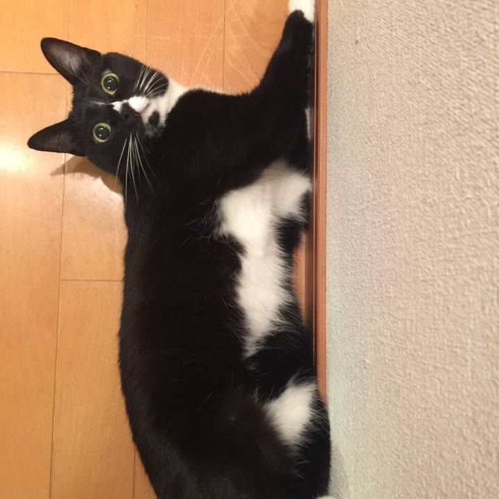 0fd9c720 6f8f 4242 bf05 eae8471f4cdb