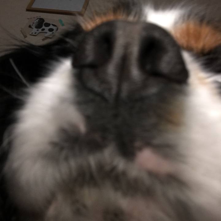 0fdad383 030f 443c a061 9b7ed79a848b