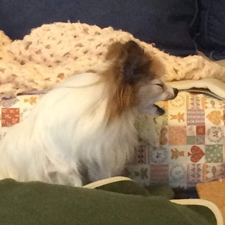 0fdafb16 d612 4456 b8dc 19b1d312e730