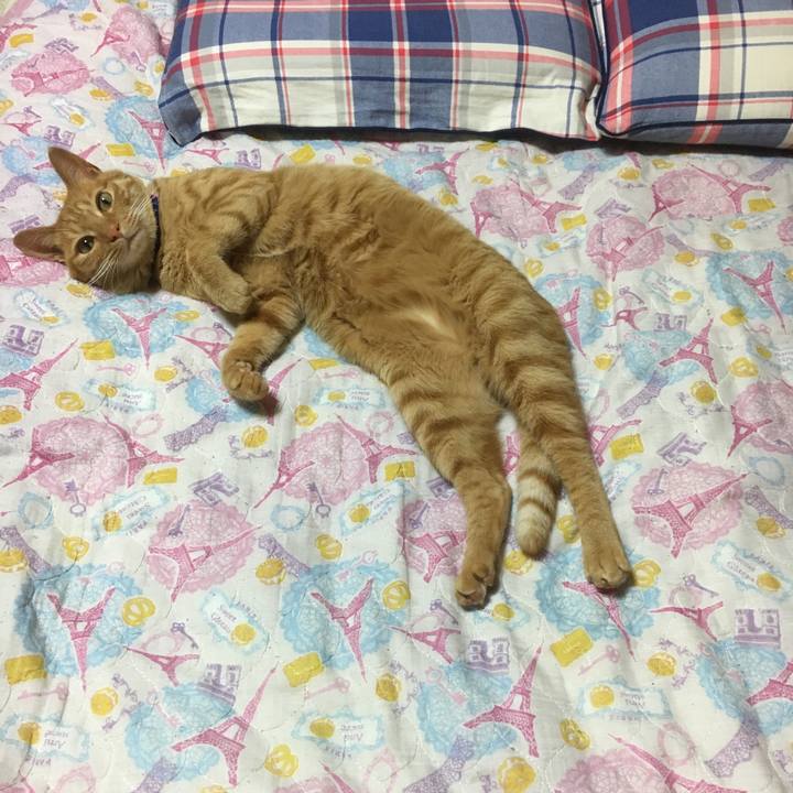 0fdb34e5 bbf7 43ba b193 f1d93dcb7bc8