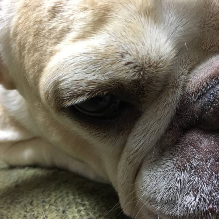 0fdb5b3b 54b8 497d b960 bc6126ccddcb