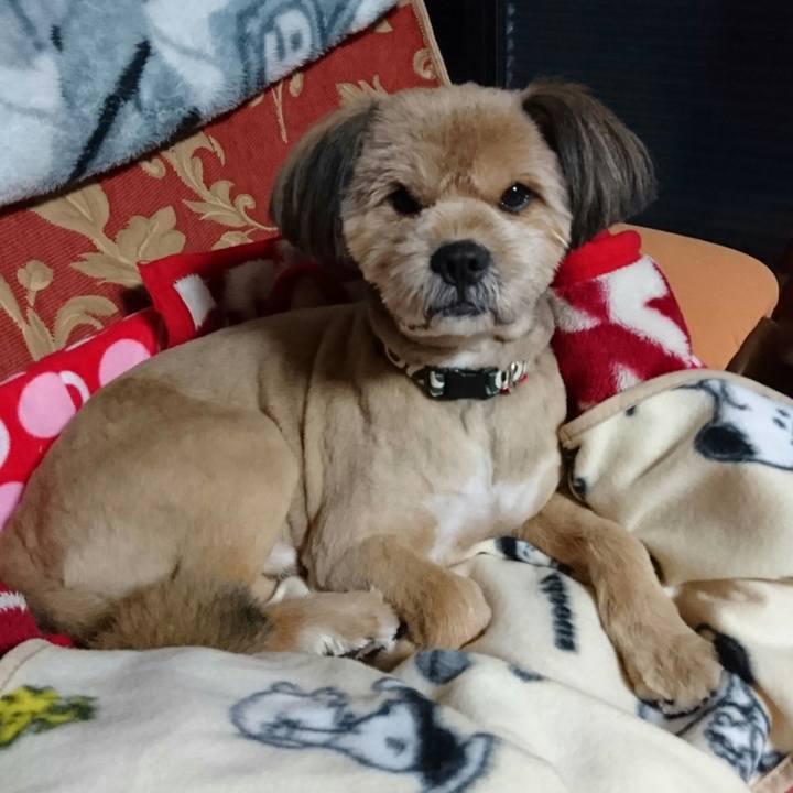 0fdb7e2f 3a7c 41a8 ad95 e74725de02e9