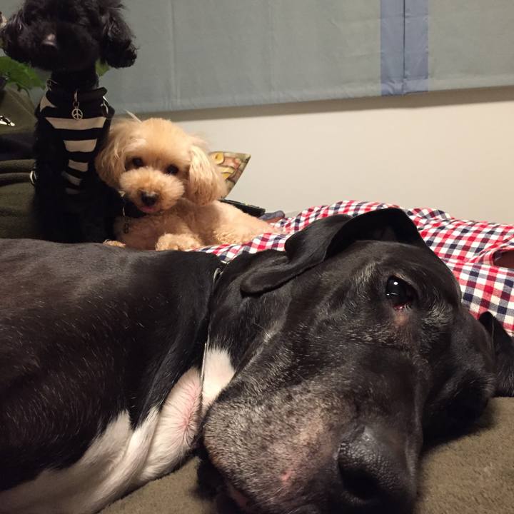 0fdc0c0a fb7d 466b 9d97 733abcd097d7