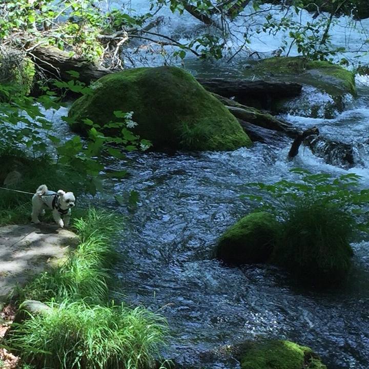 0fdc59dd b3bb 4fd5 880b f84786f5595a