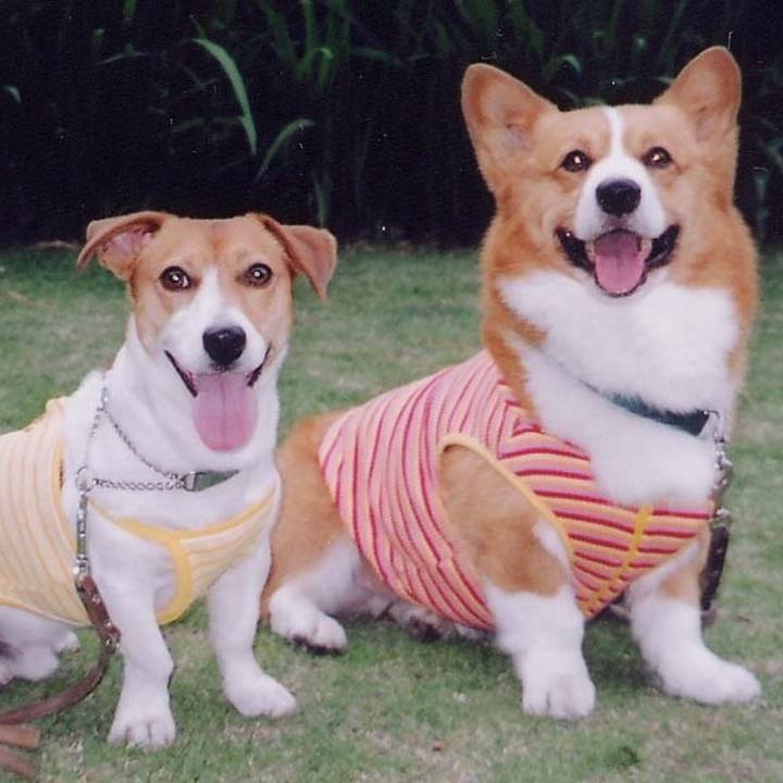 0fdc69fc 9c84 4316 9ff4 d2646fa410d9