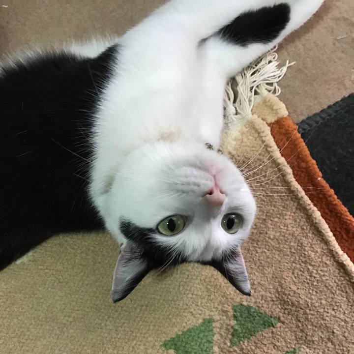 0fdcaa78 3631 4939 a6c5 7cfc225a3025