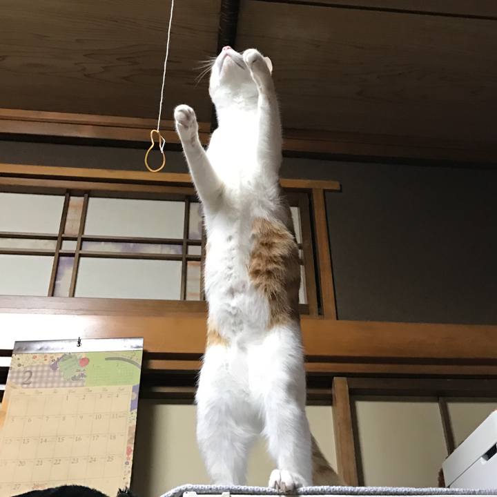 0fdd539a b9f8 4e80 bb72 1a7fec3ec830