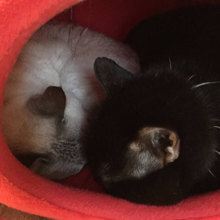 0fdd851e 12ff 42a3 98a8 140917249f77