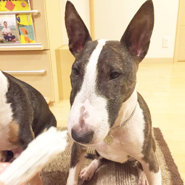 0fdda054 9f54 4dd8 a0b4 17f476cb5fd0